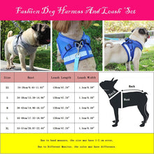 Load image into Gallery viewer, Reflective Pet Dog Harness and Leash Set