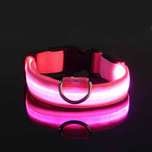 Load image into Gallery viewer, Rechargable Pet LED Dog Collar
