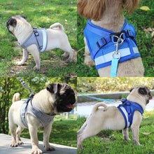 Load image into Gallery viewer, Reflective Pet Dog Harness and Leash Set