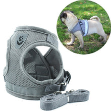 Load image into Gallery viewer, Reflective Pet Dog Harness and Leash Set