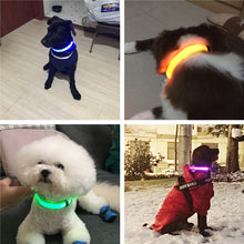 Load image into Gallery viewer, Rechargable Pet LED Dog Collar
